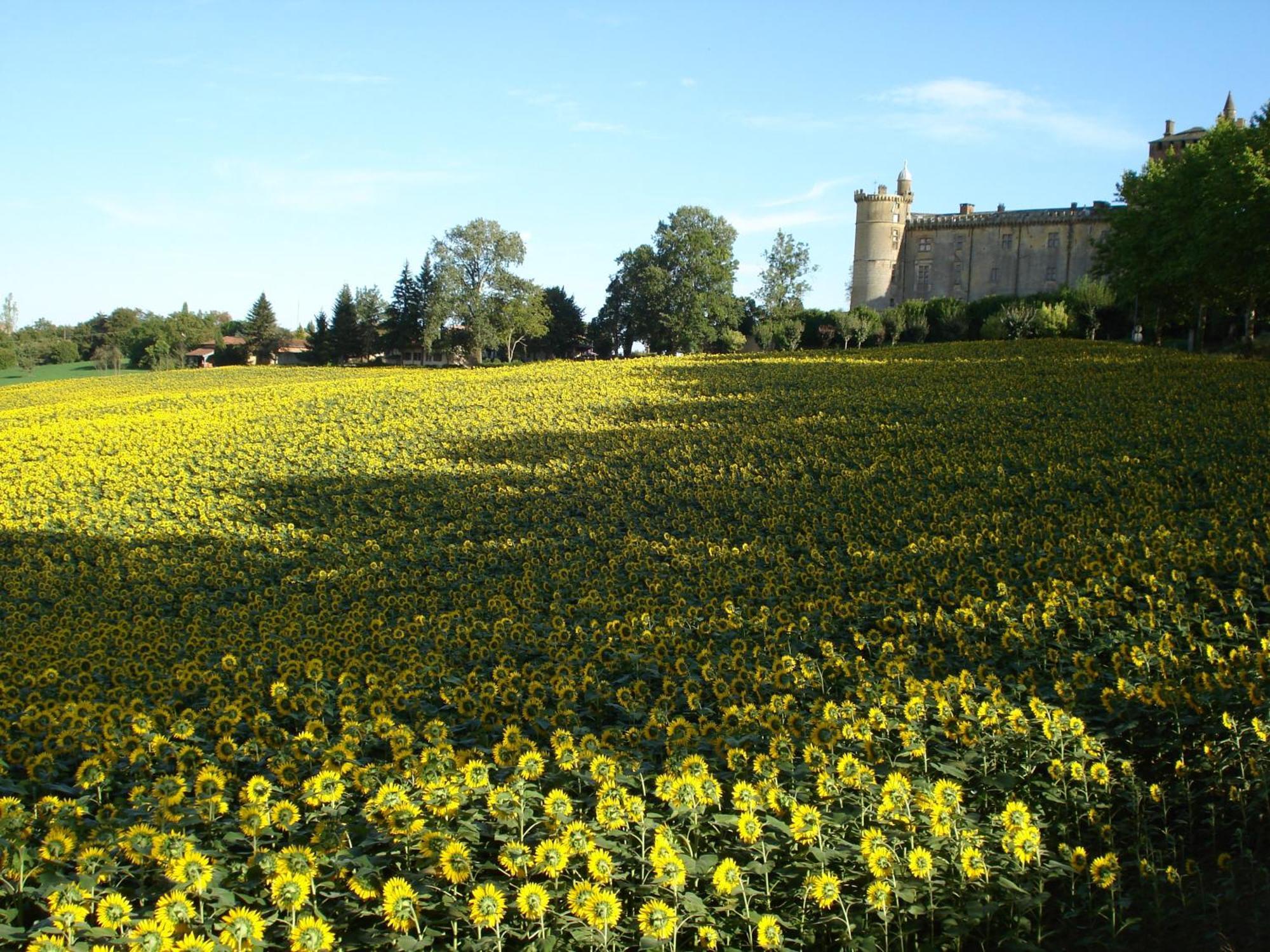 Relais Du Chateau Hotell Saint-Blancard Exteriör bild